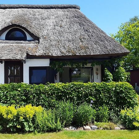 Villa Reetdachhaus Schorsch Börgerende-Rethwisch Esterno foto